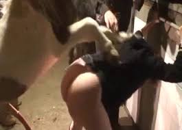 Canines before you go to sleep animals fucking humans petsex com siterip jpg x Human sex with animals