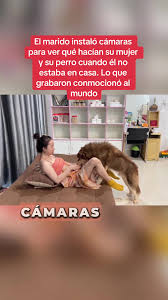Se ha subido con ella a la cama su perro para hacerle compania jpg x Mujeres teniendo sexo con perros