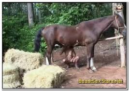 Bigtits bitch almost chokes when swallowing horse semen zoofilia porn jpg x Swallowing horse