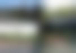 jp nudism|洋書] [nudist moppet] (米国)｜Yahoo!フリマ（旧PayPayフリマ）