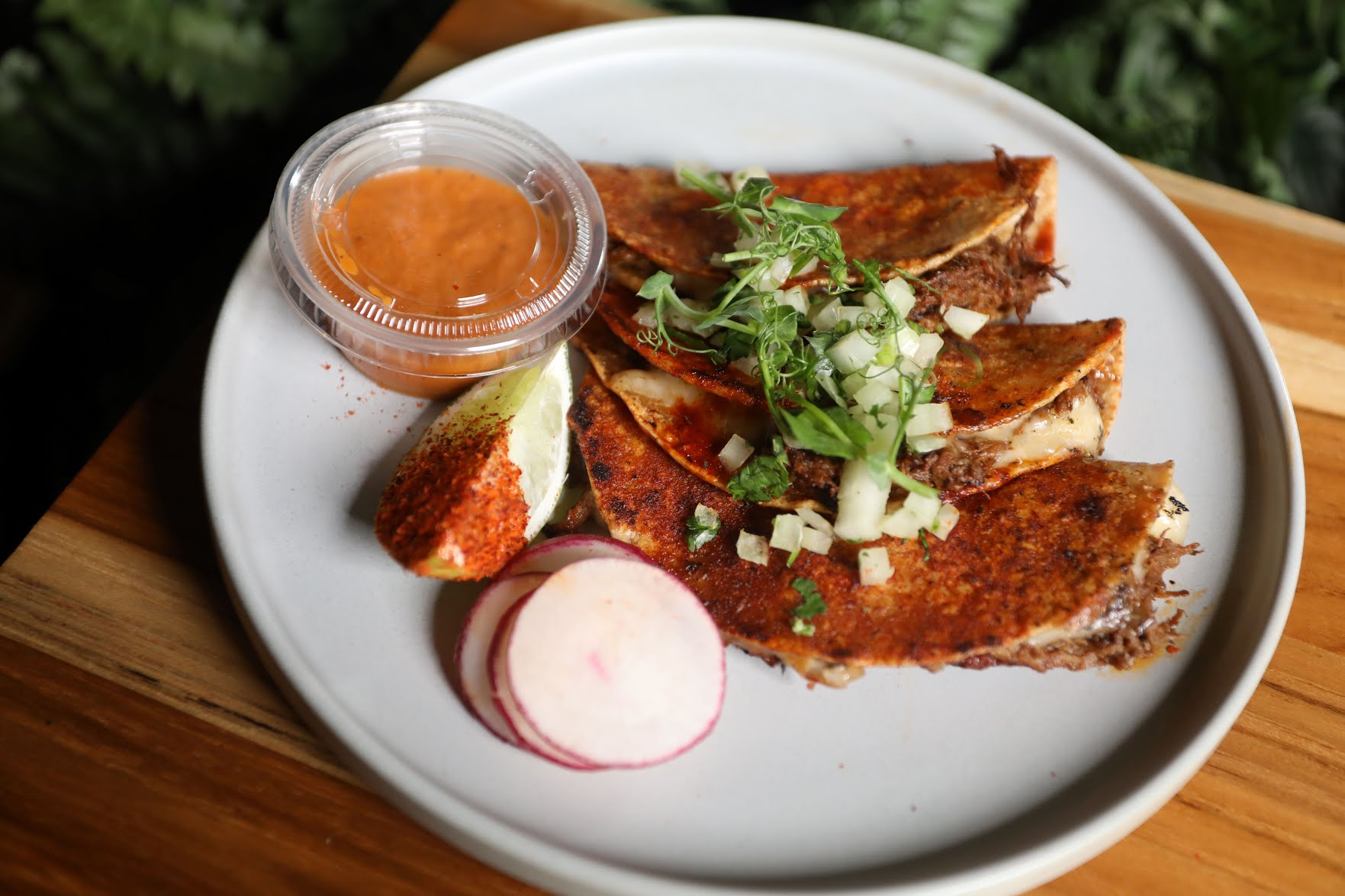 TABÚ - Williamsburg by null