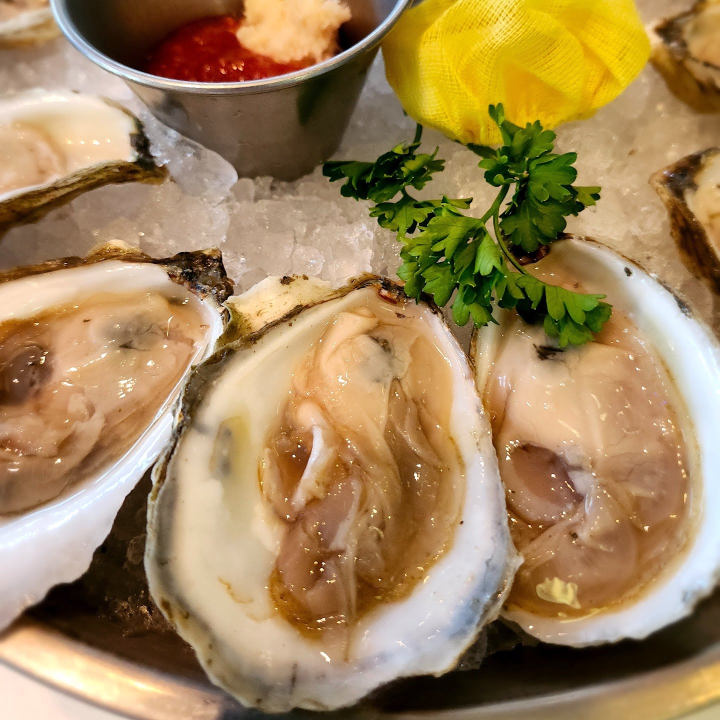 PassionFish Reston by null