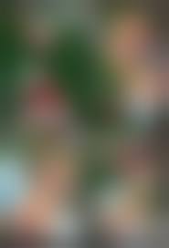 003 uncensored hentai|Lady Blue Girl EX EP 001 – 003 Uncensored Hentai Videos Download