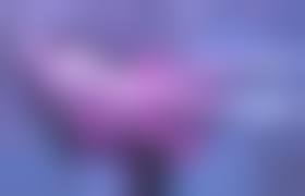 少女　レイプ　死体|いつでも挿れていいよと言わんばかりのレイプ死体を | disorder!