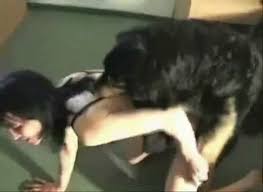 Zoo luxuretv flv jpg x Dog fuck girl