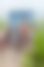 azov nude boys|Boys - Exclusive Clip 'Summer Afternoons' - Peccadillo Pictures - YouTube