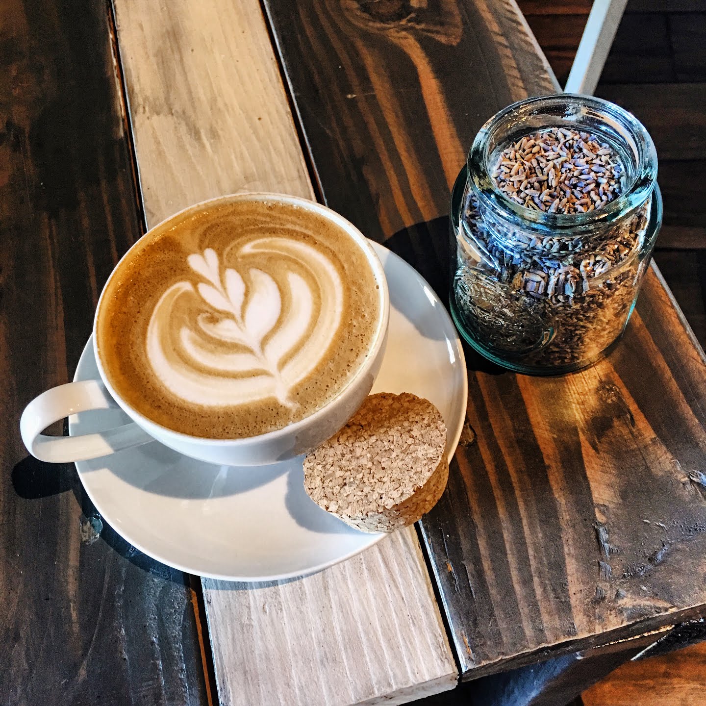 Bad Owl Coffee Roasters by null