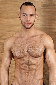 Top ten gay porn stars cvr jpg x Hot gay list