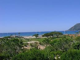 http://t0.gstatic.com/images?q=tbn:ANd9GcQwyUwVkbRPBNBYI1kGo3C-8SgsYhJu1NJ4HAmXxTZZJ6pnQIRm