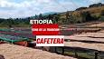 La fascinante historia del café: un viaje desde Etiopía hasta tu taza ile ilgili video