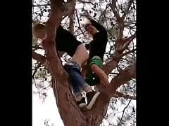 View video jpg x Tree sex