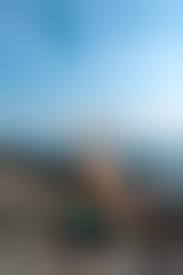 User Favorites Image teen girls nude $ 4|Slutty brunette teen Mia gets naked and plays with her favorite toy 16  photos