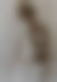 davidãhamilton nude|古書古本 Totodo：DAVID HAMILTON（デヴィッド・ハミルトン）