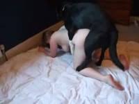 Whitney wisconsin fucks dog porn thugs fucked edoundo peekvids jpg x Whitney wisconsin dog