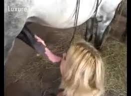 Girls fuck horse jpg x Girls fuck horse