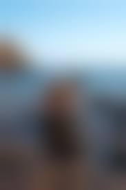 mature squatting nudists|My Sexy Trip to Island House, the Nude Men's Resort in Key West