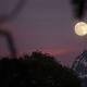 Why all the super-buzz about the supermoon? 