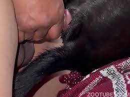 Amateur dog sex tube jpg x Fucking female dog