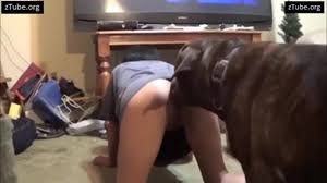 Danimal sex beastiality porn jpg x Art of zoo