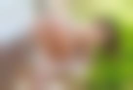 голышом на даче|Голая жена на даче фото