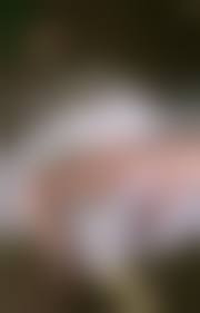 ウエディングドレス 無修正 おまんこ|ウェディングドレスを着てる女の子のエロ画像！俺には縁がないなｗ