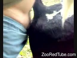 Watch kenya bestiality porn video jpg x Man fuck cow