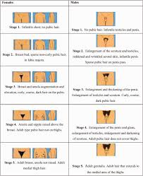puberty pubic hair|Precocious puberty| #gynic_case_17 - YouTube