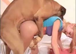 Dogs fucking girls video compilation thumbnail jpg x Girls fucked by dogs