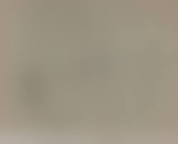 imperia-of-hentai|The Imperial Gatekeeper on Steam