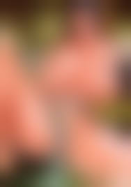 incest toon 3d sex|Xbooru - <3 anal anal penetration ass blue eyes bottomless cereal chair  cousin heart incest kitchen looking back milk monologue smile sparrow  (artist) stool telephone | 652785