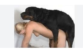 The idol dog porn comic page jpg x And dog