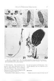 go ah ra fake nude|筋ジストロフィー及び類縁疾患の 病態と治療法に関する研究