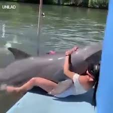 Dolphin fucks woman porn gifs sex pictures pass jpg x Man fucks dolphin