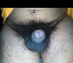Video drilling her hairy pussy with penis jpg x Hairy penis