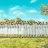 日向坂46