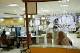 Hindalco Q4 net profit down 24.7% at Rs 482 crore