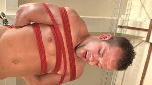 Luke adams jpg x Luke adams