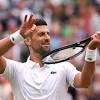 Novak Djokovic sets up Wimbledon final rematch with Carlos Alcaraz