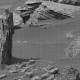 'Ancient tree stump' spotted on Mars? 