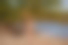 rajce idnespediatric pussy|Rajce Pussy - 78 porn photo