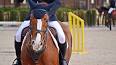 Los beneficios sorprendentes de la equitación ile ilgili video