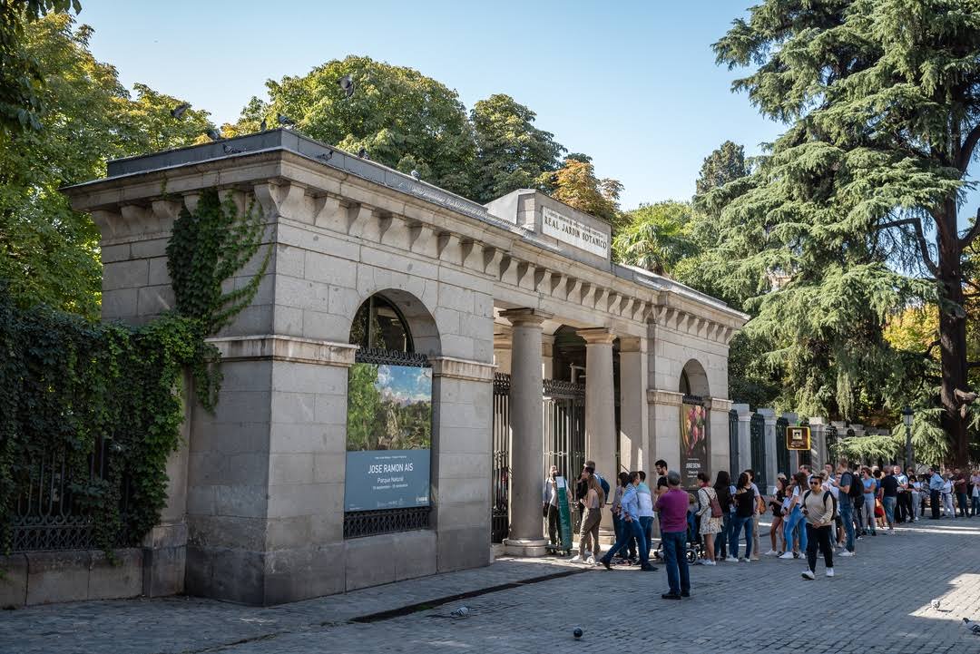 Real Jardín Botánico by Google