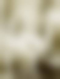 antique vintage porn|Vintage porn star is naked on camera showing her gorgeous horny body in all  positions for you - XVIDEOS.COM