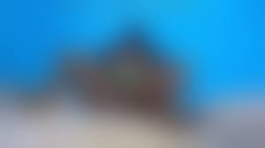 african tribe little pussy|The Best Fuck of My Life was in the Woods with a Black Woman from an African  Tribe She got a Mouth and a Pussy so Hot | xHamster