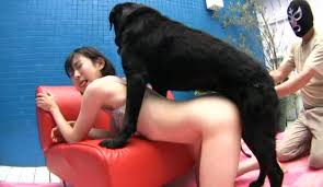 Japanese girl fucked dogs zoo porn dog at katitube jpg x Girls fucked by dogs