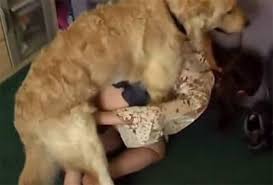 Sexo con perros jpg x Sexo con perros