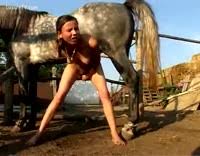 Horny woman fucking horse jpg x Girls fuck horse