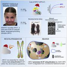 3d rape porn gif|Advances and Perspectives in Tissue Culture and Genetic Engineering of  Cannabis