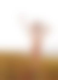 tangjiali nude|Tang Jiali Nude - 14 Pictures: Rating 8.45/10