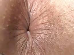 Ass hole close jpg x Ass hole close up